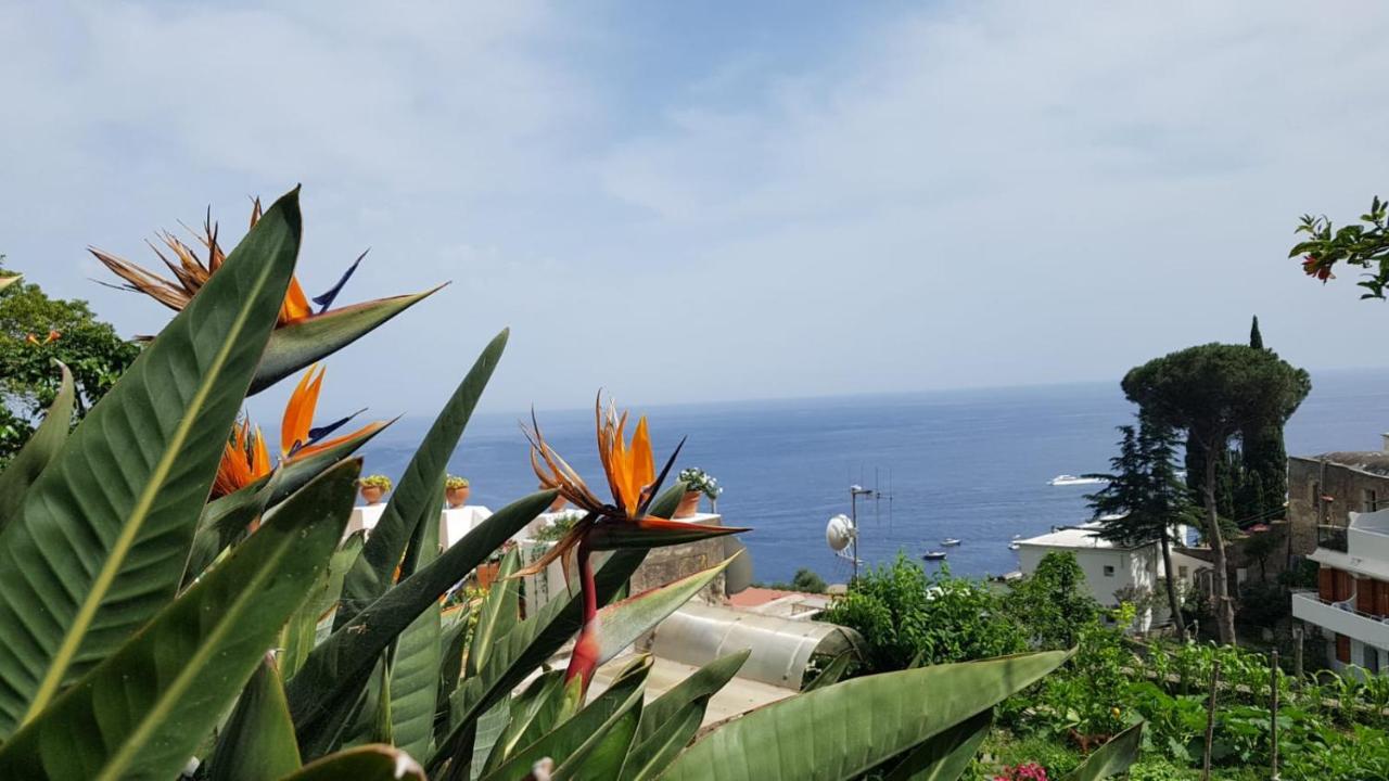 Willa Casa Anna Positano Zewnętrze zdjęcie